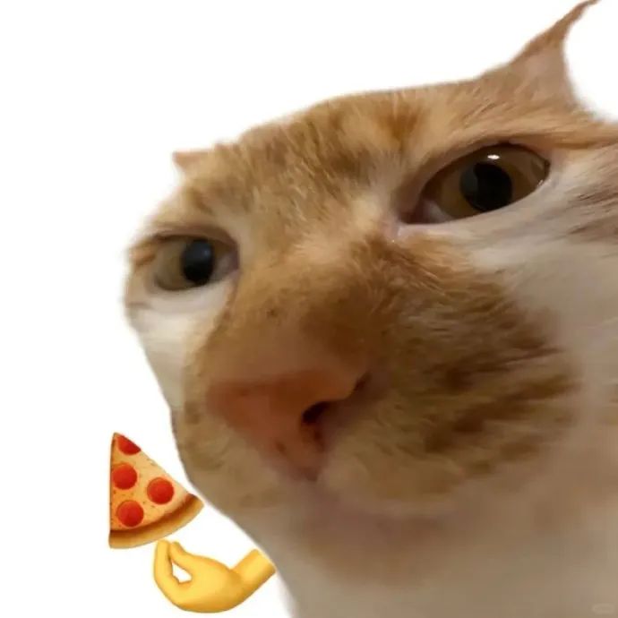 可爱猫咪被递上披萨,表情呆萌超有趣的萌猫表情包 白底合法既有病的猫咪表情包表情包图片gif动图 - 求表情网,斗图从此不求人!