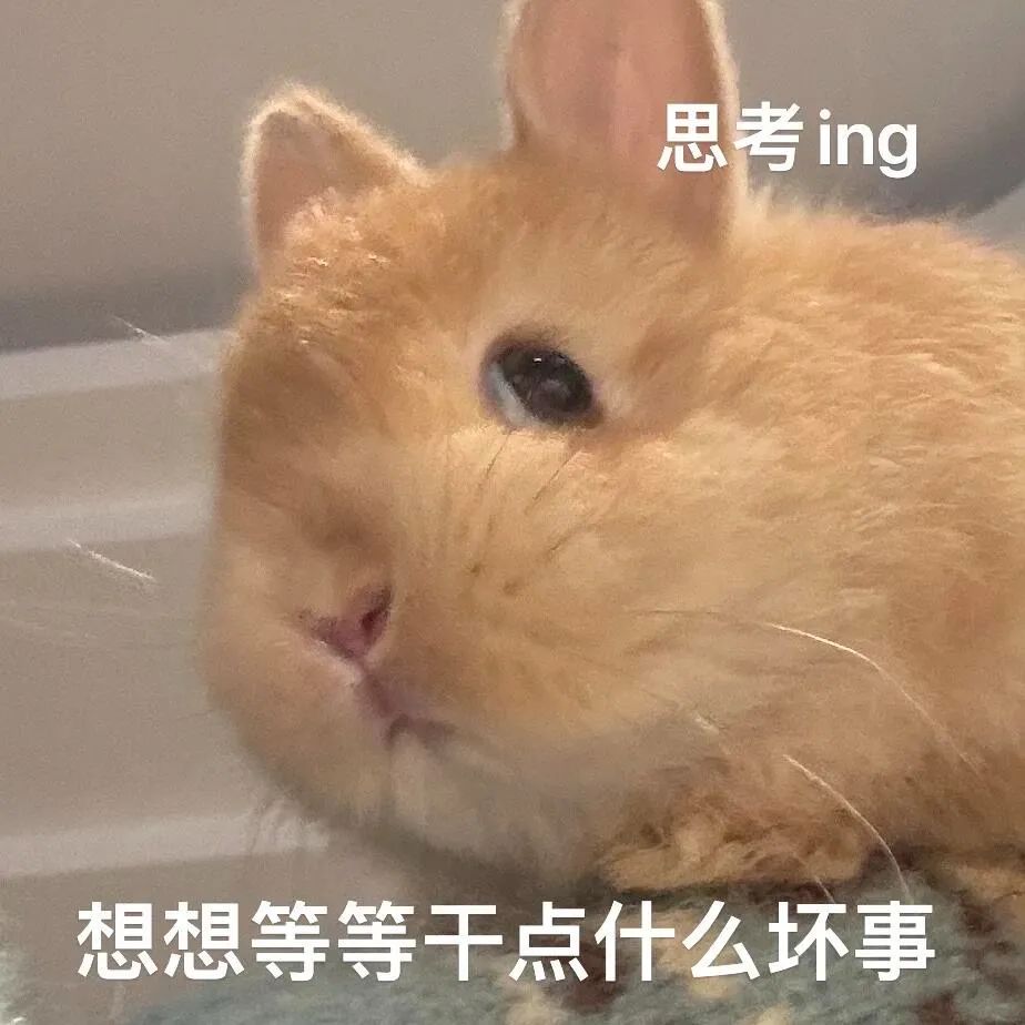 可爱小兔思考ing，盘算着等会要干点什么坏事 表情包丨宝宝你香香哒表情包图片gif动图 - 求表情网,斗图从此不求人!