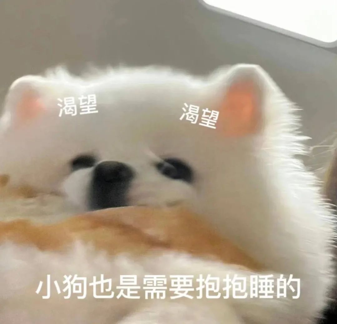 《渴望抱抱睡的小狗,萌态十足的可爱表情包》 表情包|迷你表情包gif动图可爱表情包图片gif动图 - 求表情网,斗图从此不求人!