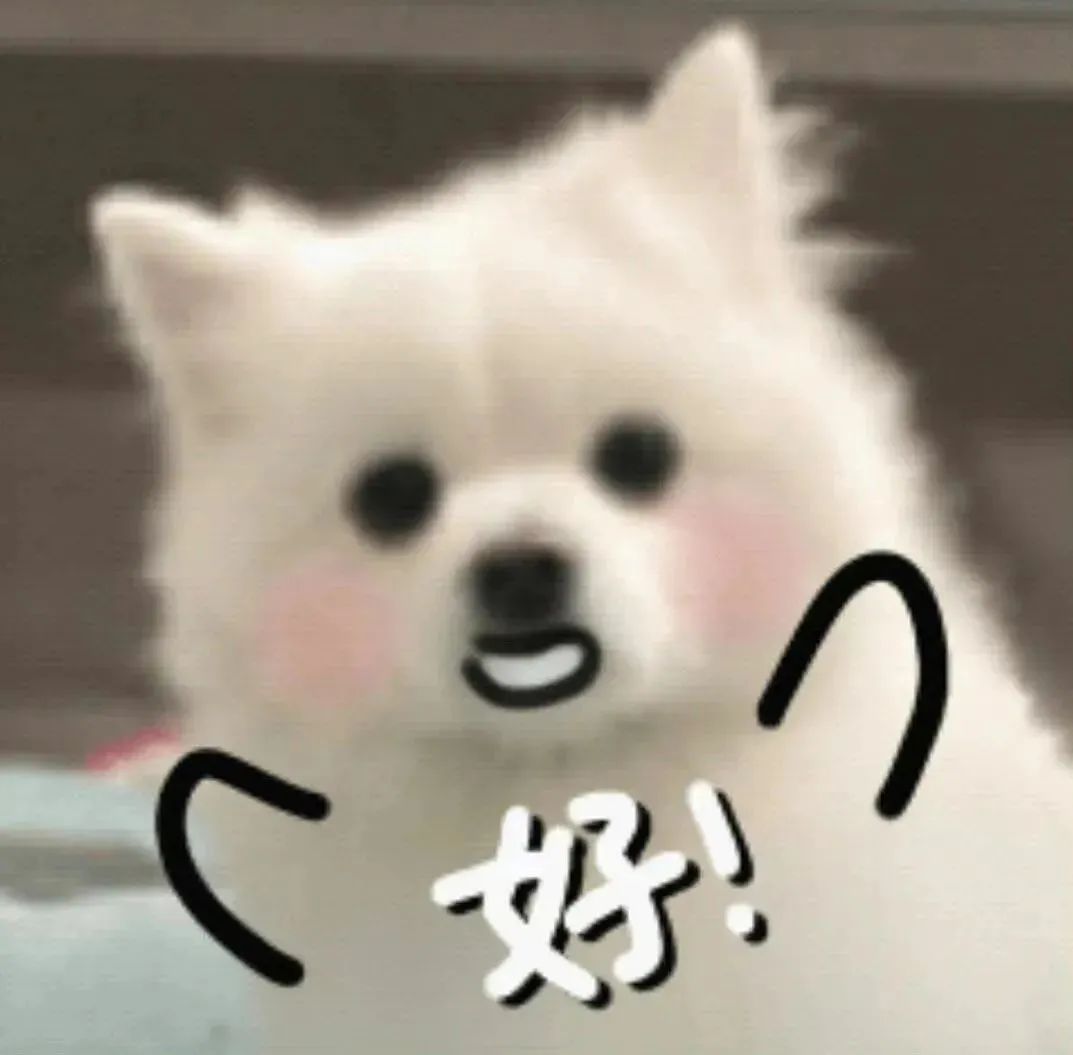 可爱小白狗咧嘴露齿,配文“好!”的超萌表情包 表情包|迷你表情包gif动图可爱表情包图片gif动图 - 求表情网,斗图从此不求人!