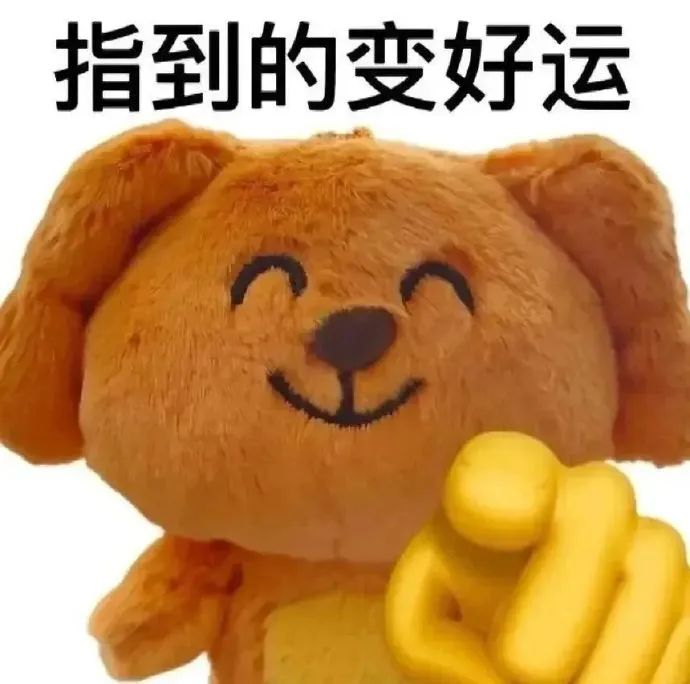 可爱小狗玩偶手指前方，配文“指到的变好运”超萌 有病但实用的犯贱表情包表情包图片gif动图 - 求表情网,斗图从此不求人!