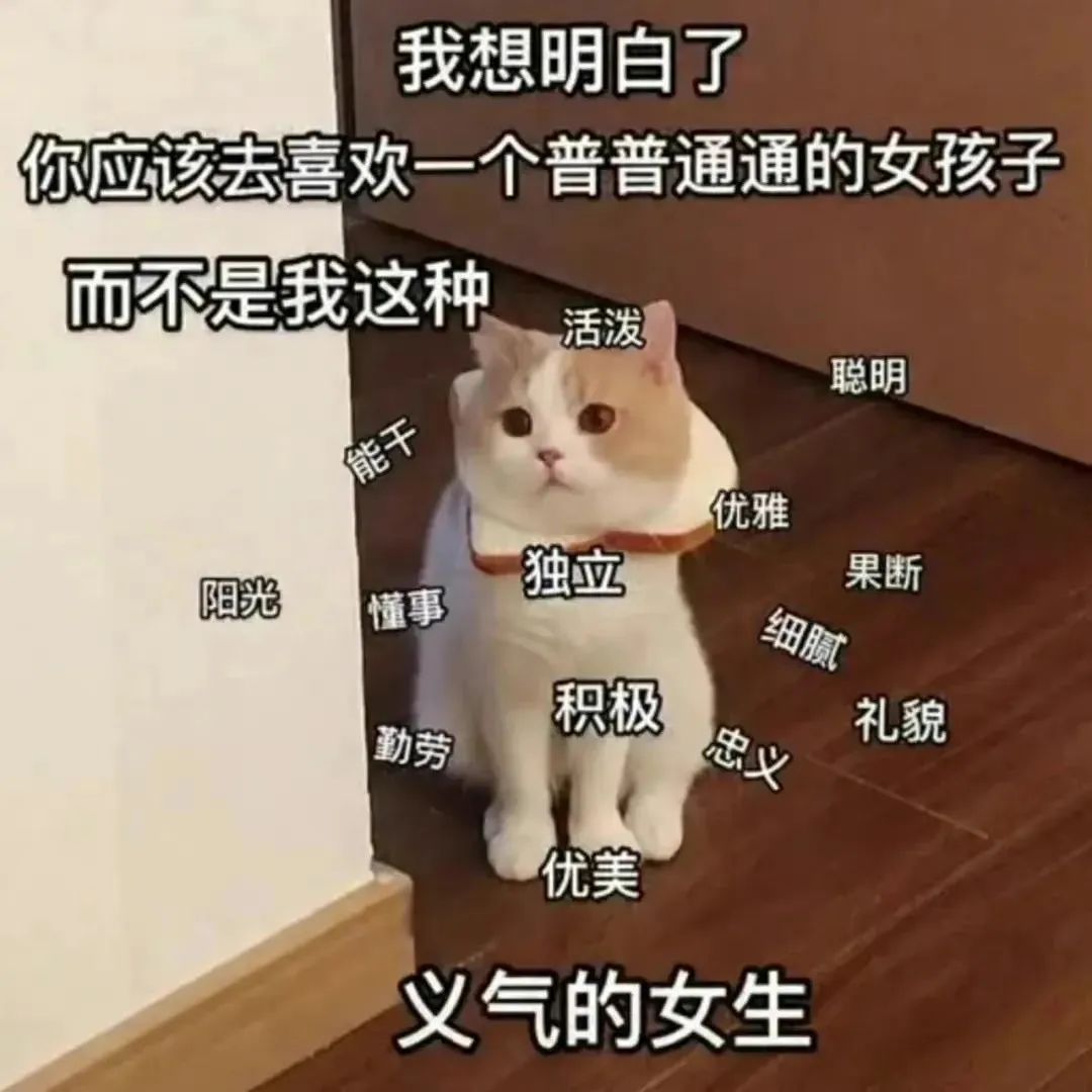 《可爱猫咪配文“我想明白了”,尽显独特女生魅力的表情包》 快来领取你的表情包!表情包图片gif动图 - 求表情网,斗图从此不求人!