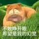 “不敢睁开眼,希望是我的幻觉”的无奈与逃避心态表情包 可爱又实用的mini小表情包表情包图片gif动图 - 求表情网,斗图从此不求人!