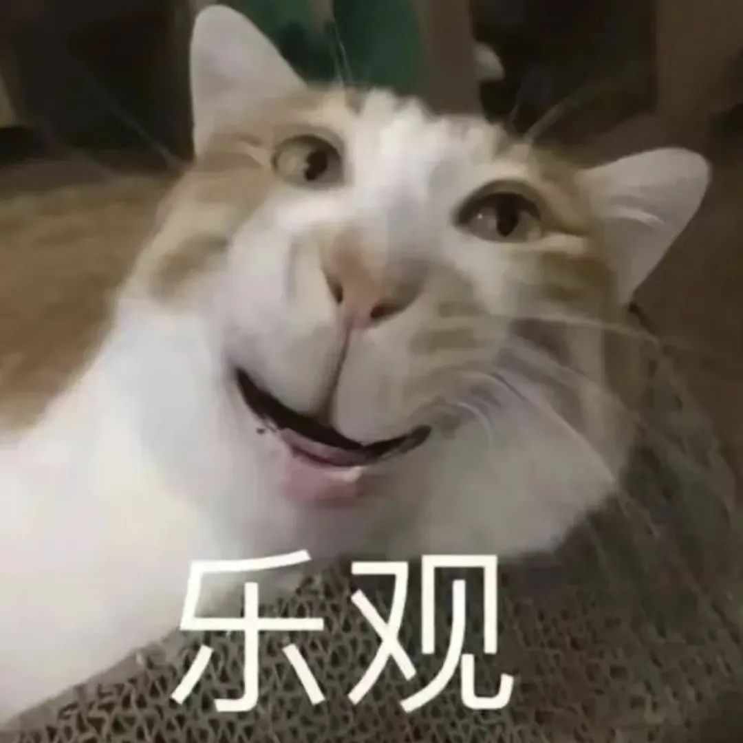 猫咪表情夸张露齿笑,配文“乐观”,传递积极情绪的可爱表情包 有病但实用的犯贱表情包表情包图片gif动图 - 求表情网,斗图从此不求人!