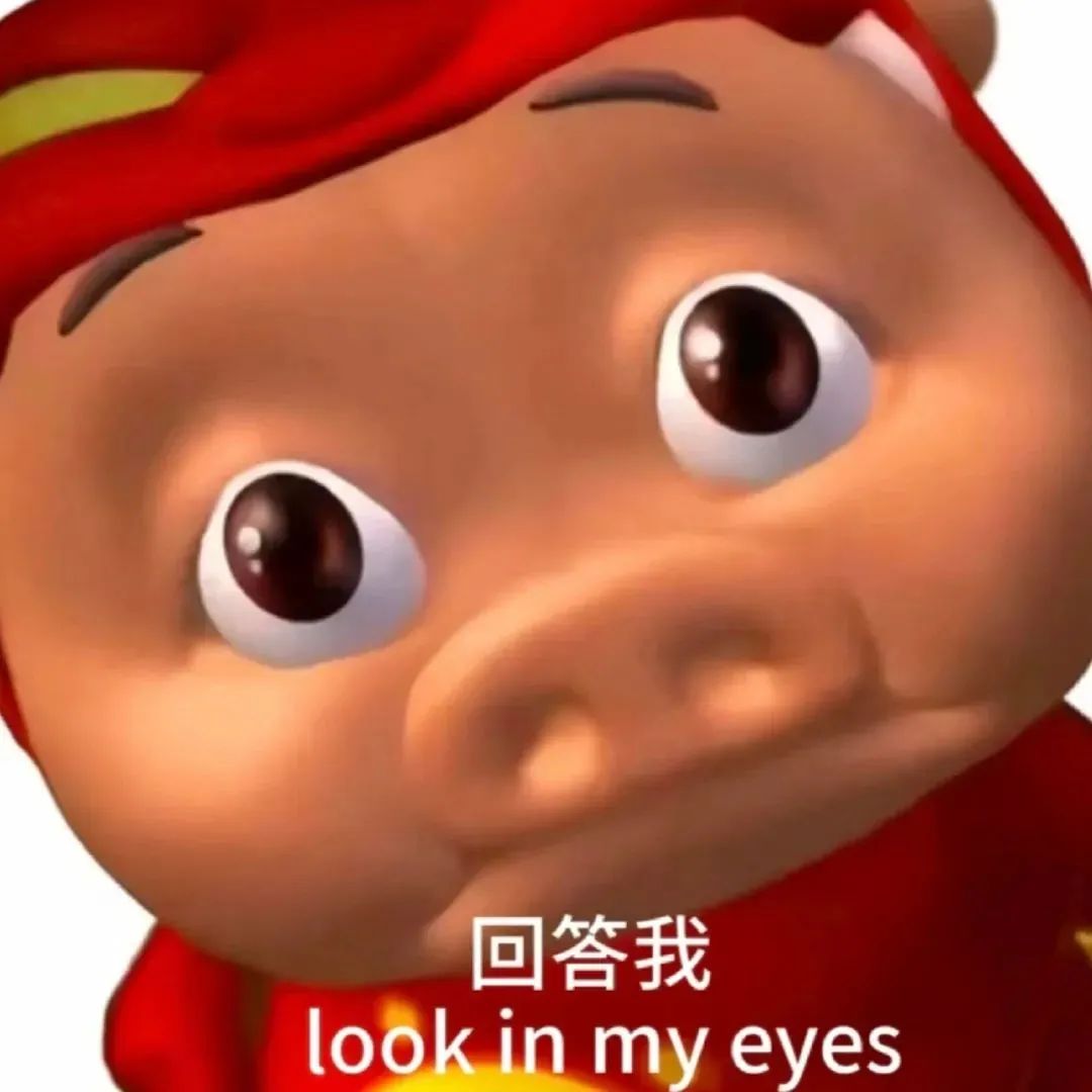 猪猪侠严肃脸：“回答我，look in my eyes”超有压迫感 表情包：已倒下表情包图片gif动图 - 求表情网,斗图从此不求人!