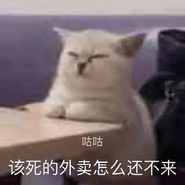 《咕咕》白猫趴在桌上一脸无奈，配文“该死的外卖怎么还不来” 表情包｜表情包情侣专用怼人表情包图片gif动图 - 求表情网,斗图从此不求人!