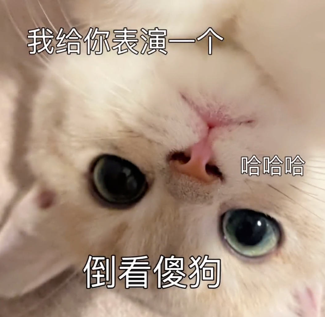 《可爱猫咪表演“倒看傻狗”,萌态十足让人忍俊不禁》 ๑什么!还有这么软萌的表情包表情包图片gif动图 - 求表情网,斗图从此不求人!