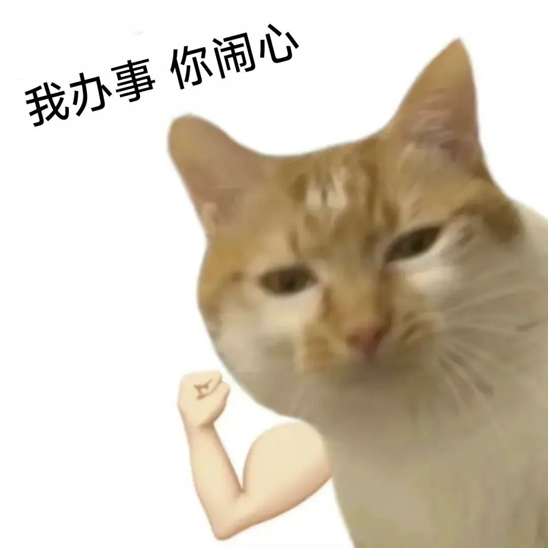 《霸气猫咪表情包：我办事你闹心，尽显自信风范》 表情包：我办事 你闹心表情包图片gif动图 - 求表情网,斗图从此不求人!