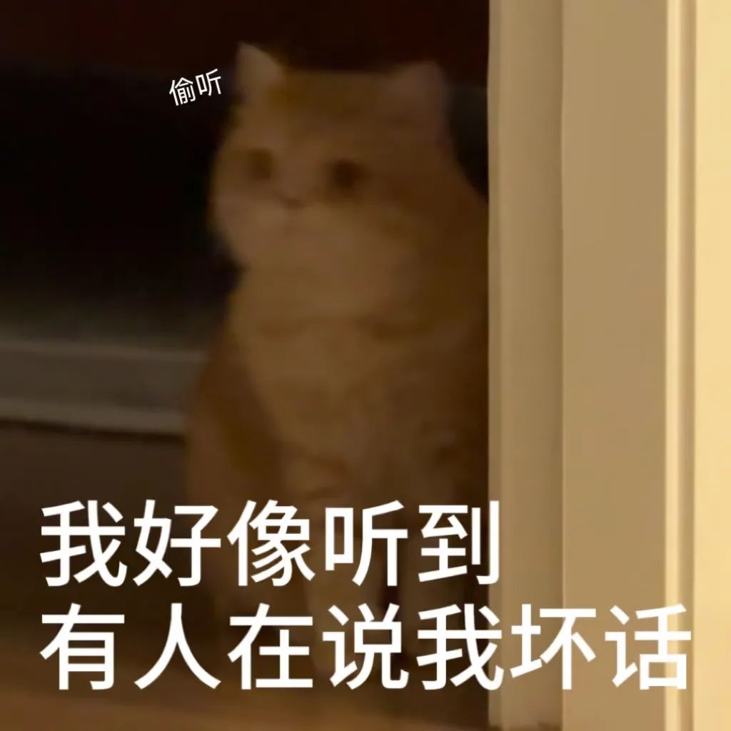 可爱猫咪躲在门后偷听，配文“我好像听到有人在说我坏话” 表情包：我办事 你闹心表情包图片gif动图 - 求表情网,斗图从此不求人!