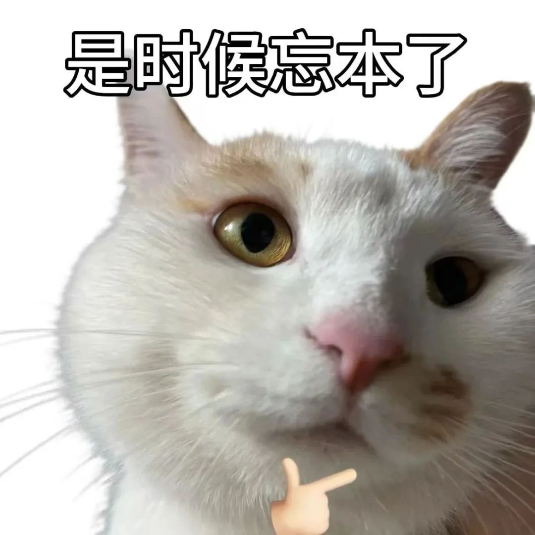可爱猫咪表情搞怪,配文“是时候忘本了”,尽显俏皮幽默 表情包:是时候忘本了表情包图片gif动图 - 求表情网,斗图从此不求人!