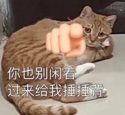 慵懒小猫配手指示意，配文“你也别闲着 过来给我捶捶背” 表情包｜我不几丢鸭表情包图片gif动图 - 求表情网,斗图从此不求人!