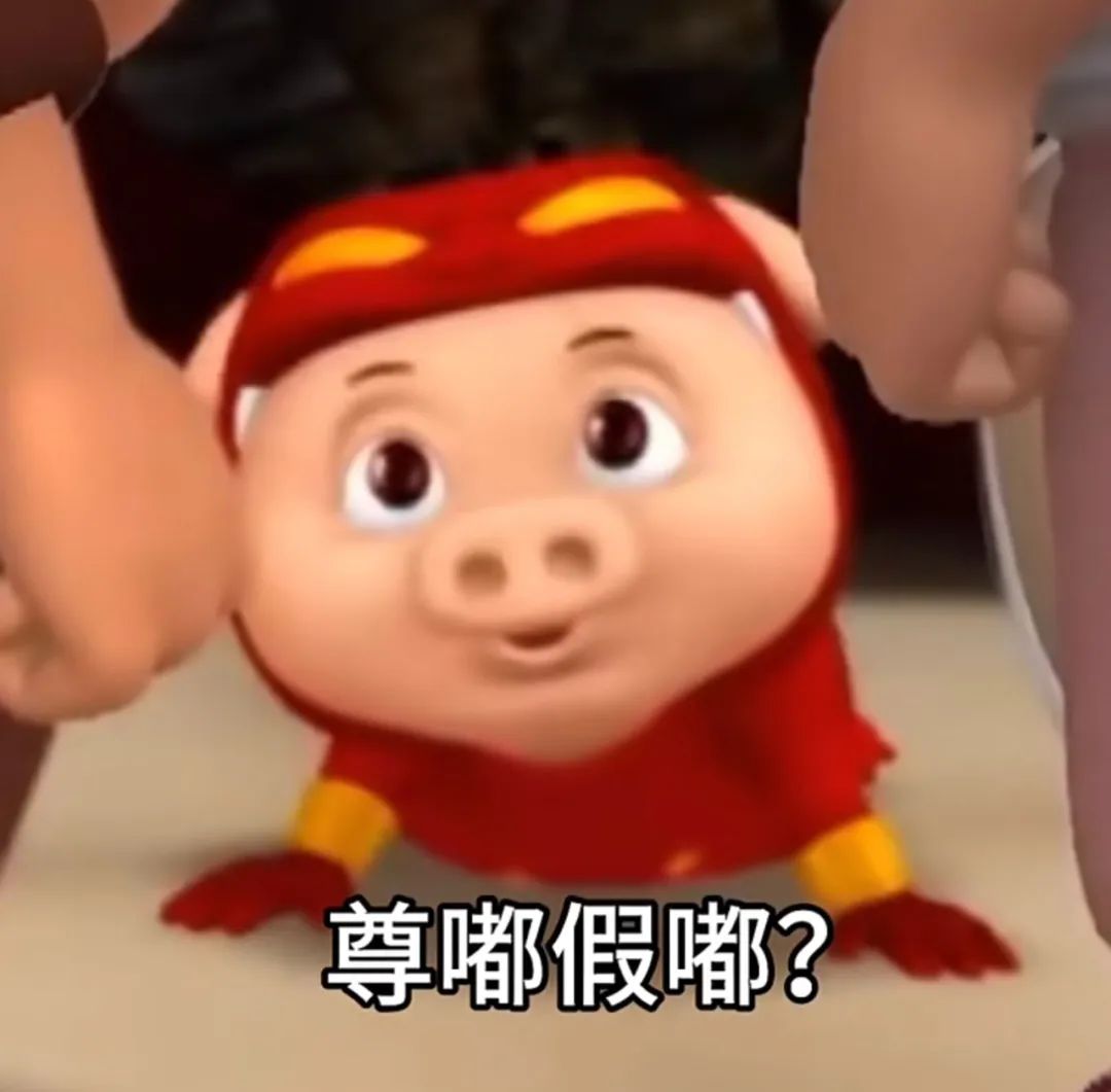 《猪猪侠呆萌表情来袭,“尊嘟假嘟?”尽显可爱疑惑》 表情包大派送,手慢无哦!表情包图片gif动图 - 求表情网,斗图从此不求人!