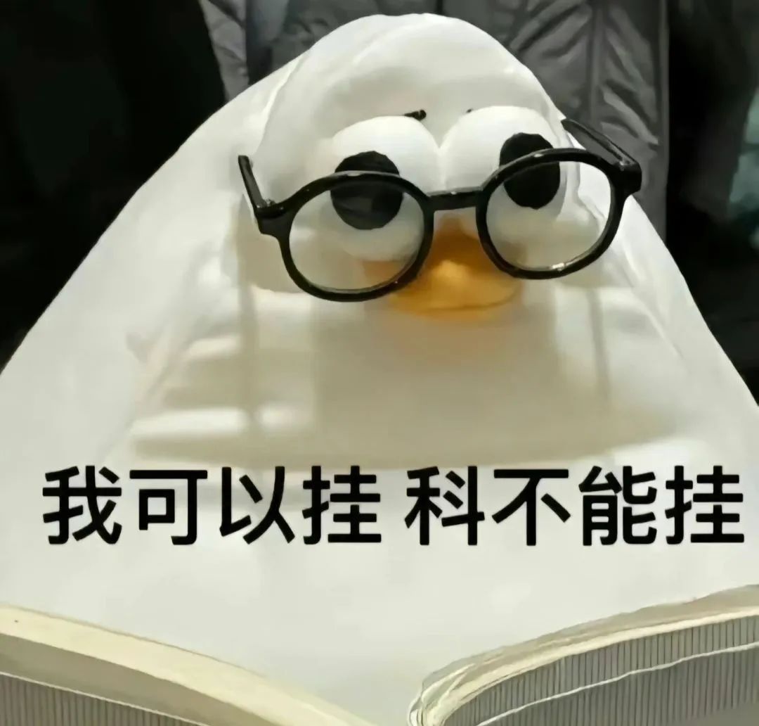 戴眼镜的可爱玩偶配文“我可以挂科不能挂”,幽默表达学习态度 宝藏表情包表情包图片gif动图 - 求表情网,斗图从此不求人!