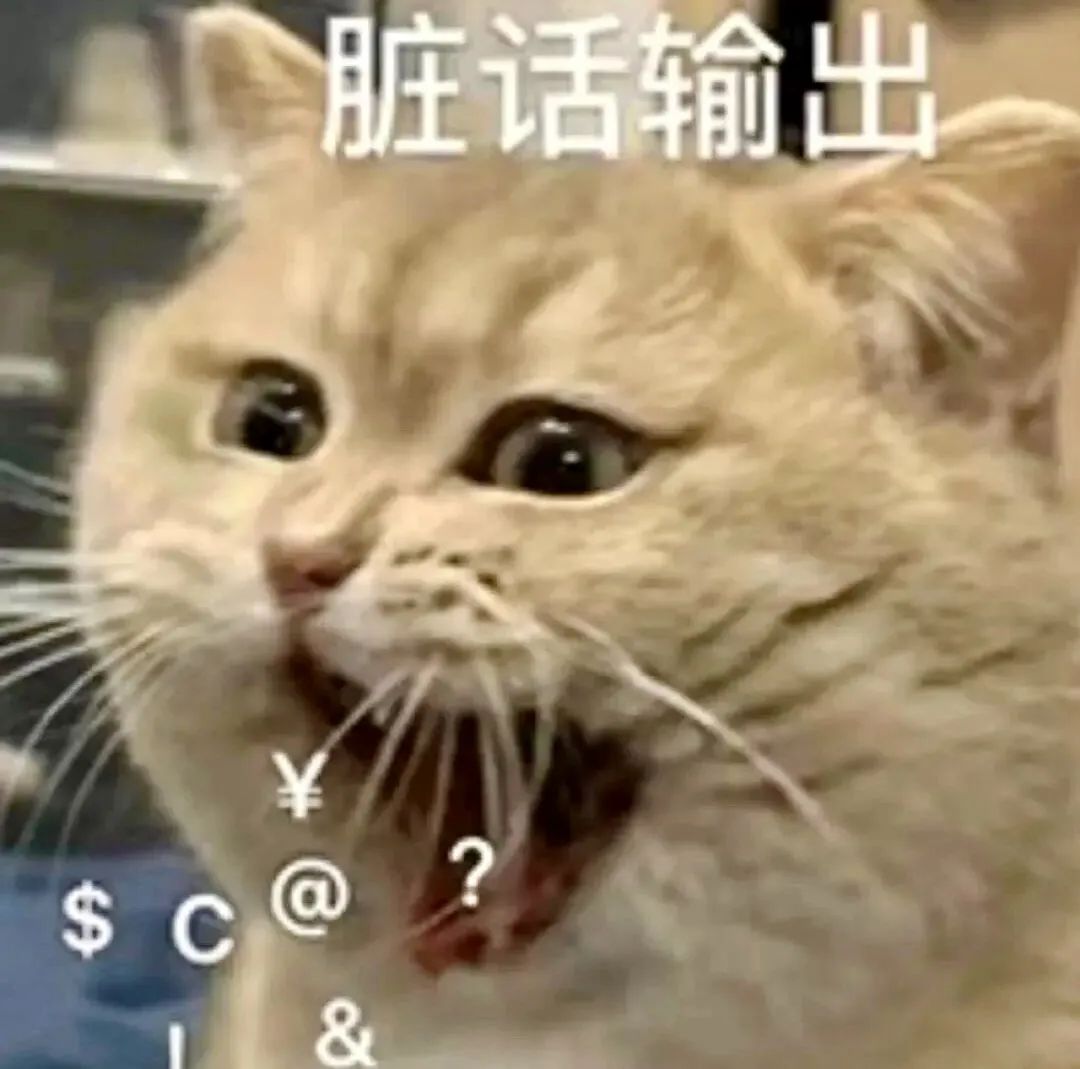 《猫咪张嘴瞪眼配文“脏话输出”，各种符号增添暴躁感》 表情包丨酒还没醒表情包图片gif动图 - 求表情网,斗图从此不求人!