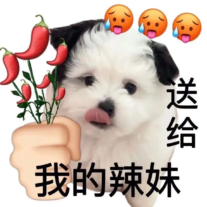 可爱小狗吐舌,配文“送给我的辣妹”,表情超萌超有趣 表情包|表情包gif动态图抽象表情包图片gif动图 - 求表情网,斗图从此不求人!