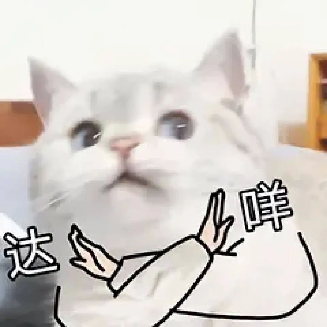 可爱猫咪配“达咩”手势，萌趣十足的拒绝表情包 新表情包，不领取就走宝了！表情包图片gif动图 - 求表情网,斗图从此不求人!