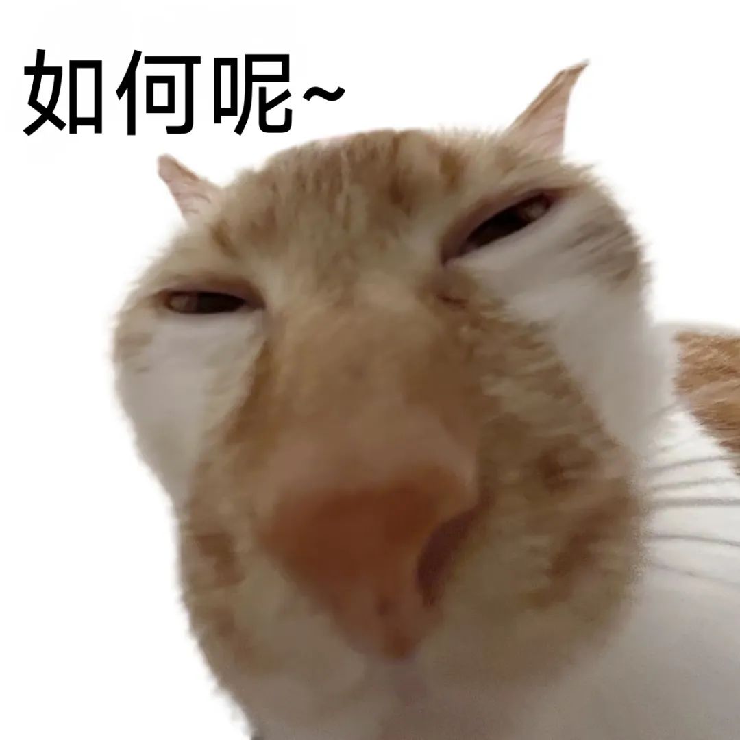 表情包:如何呢 又能怎相关表情包,表情包专辑 - 求表情网,斗图从此不求人!
