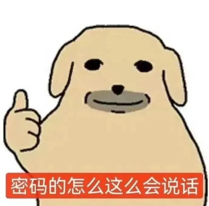 可爱小狗卡通形象,竖大拇指配文“密码的怎么这么会说话” 表情包大全(100张)表情包图片gif动图 - 求表情网,斗图从此不求人!