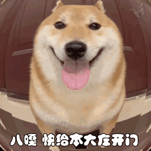 柴犬吐舌卖萌,配文“八嘎 快给本大爷开门”的可爱表情包 表情包|表情包gif图阴阳怪气表情包图片gif动图 - 求表情网,斗图从此不求人!