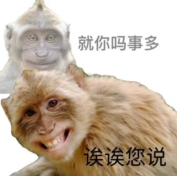 猴子表情包:“就你吗事多”“诶诶您说”尽显无奈与敷衍 表情包|表情包gif图阴阳怪气表情包图片gif动图 - 求表情网,斗图从此不求人!
