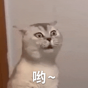 可爱猫咪突然瞪眼张嘴，配文“哟~”，表情惊讶又呆萌 搞笑动态表情包表情包图片gif动图 - 求表情网,斗图从此不求人!