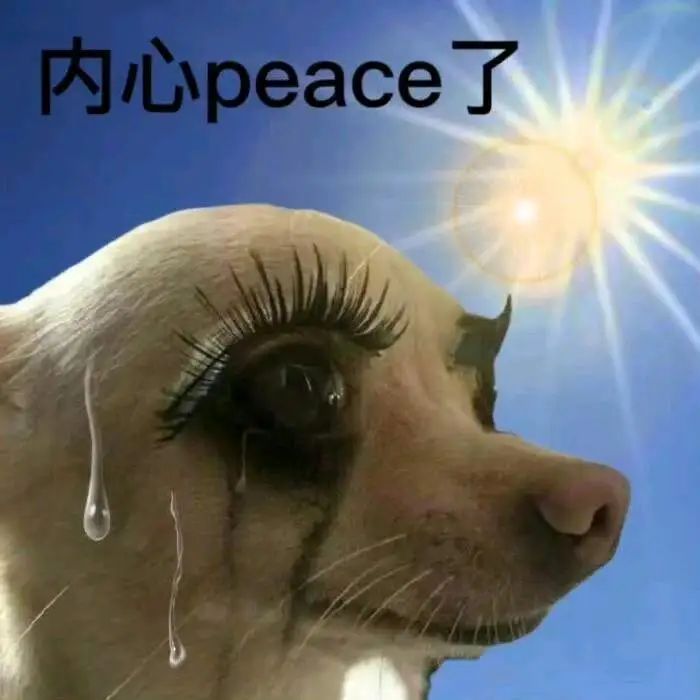 流泪小狗配文“内心peace了”,尽显无奈又释然的复杂情绪 热热热热の夏天必备表情包表情包图片gif动图 - 求表情网,斗图从此不求人!