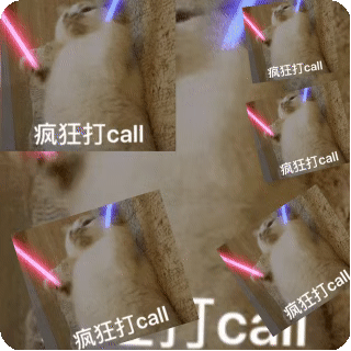 可爱猫咪手持光剑,配文“疯狂打call”的超有趣表情包 表情包|实用斗图表情包gif图表情包图片gif动图 - 求表情网,斗图从此不求人!