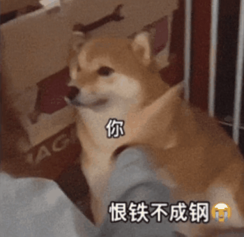 柴犬一脸无奈配文“你 恨铁不成钢”，尽显恨铁不成钢的神态 你们的表情包大户上线了！表情包图片gif动图 - 求表情网,斗图从此不求人!