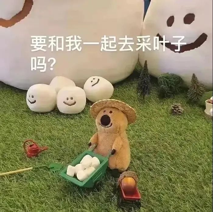 可爱小熊推着小车,配文“要和我一起去采叶子吗”萌趣十足 立刻领取你的表情包,!表情包图片gif动图 - 求表情网,斗图从此不求人!