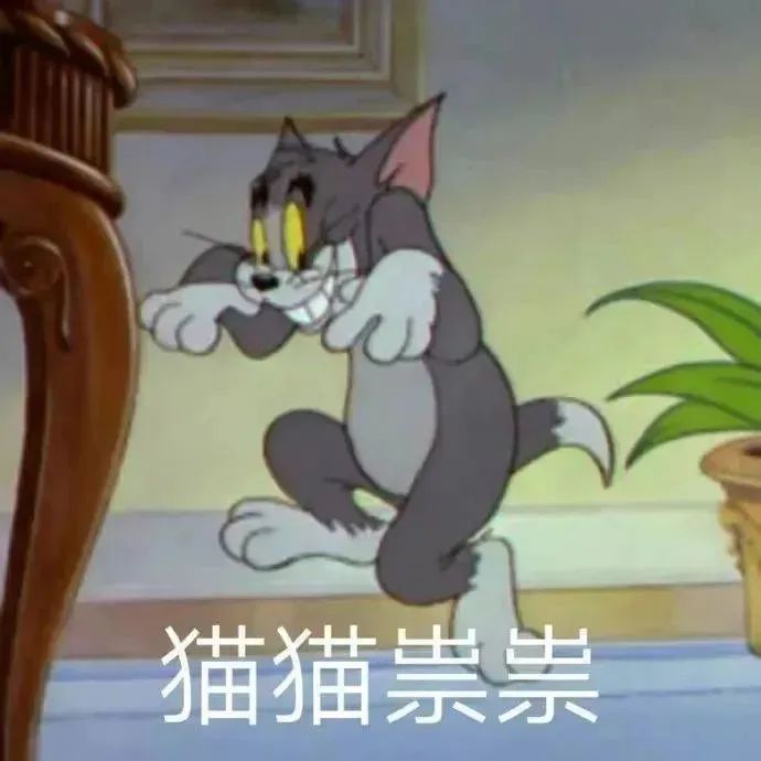 《猫和老鼠》中的汤姆猫兴奋跳起,配文“猫猫祟祟”超可爱 表情包|贱贱斗图表情包gif图表情包图片gif动图 - 求表情网,斗图从此不求人!