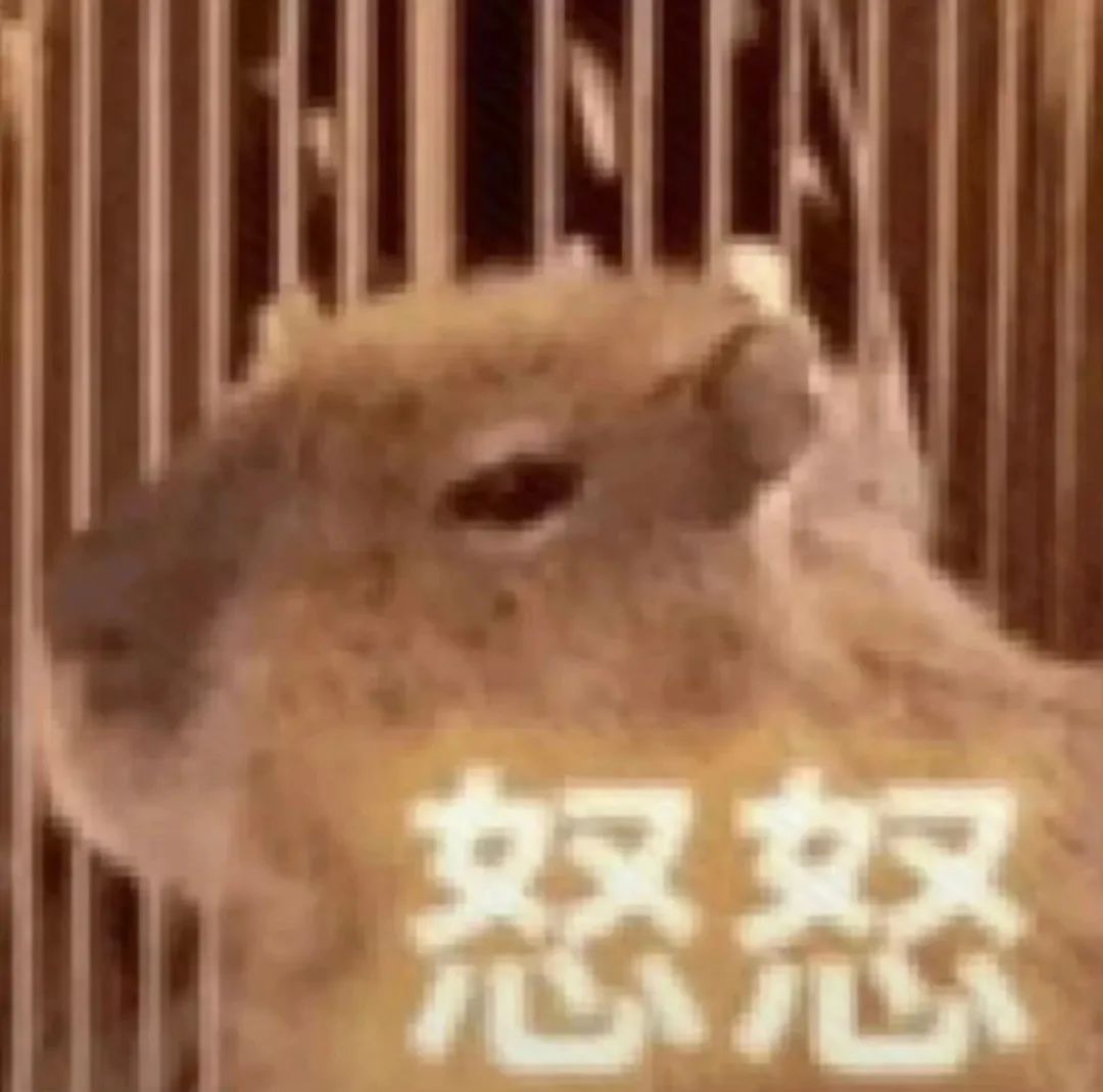 可爱小动物一脸“怒怒”，这表情太萌啦 快抢！新表情包来袭！表情包图片gif动图 - 求表情网,斗图从此不求人!