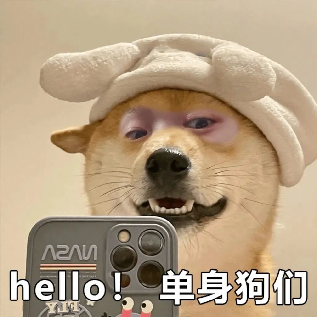 戴着可爱帽子的狗狗咧嘴笑,配文“hello!单身狗们”超有趣 表情包丨动图表情包抽象抖音表情包图片gif动图 - 求表情网,斗图从此不求人!