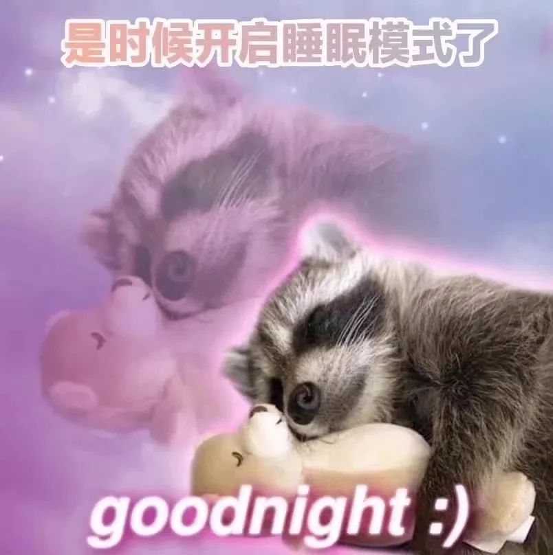 可爱浣熊抱着玩偶,配文“是时候开启睡眠模式了”的晚安表情包 超爱用的抽象表情包表情包图片gif动图 - 求表情网,斗图从此不求人!