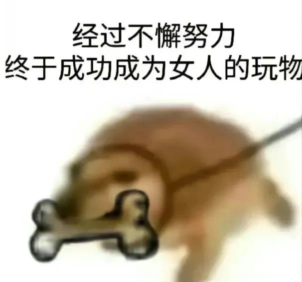 《经过不懈努力，终于成功成为女人玩物的小狗》 发癫抽象动图表情包（500张）表情包图片gif动图 - 求表情网,斗图从此不求人!