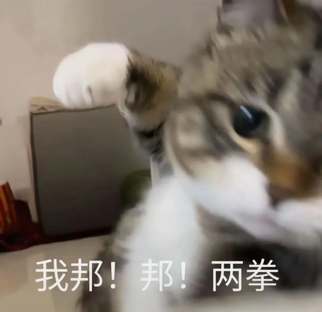乐邦詹士的表情包表情包图片 - 求表情网,斗图从此不求人!