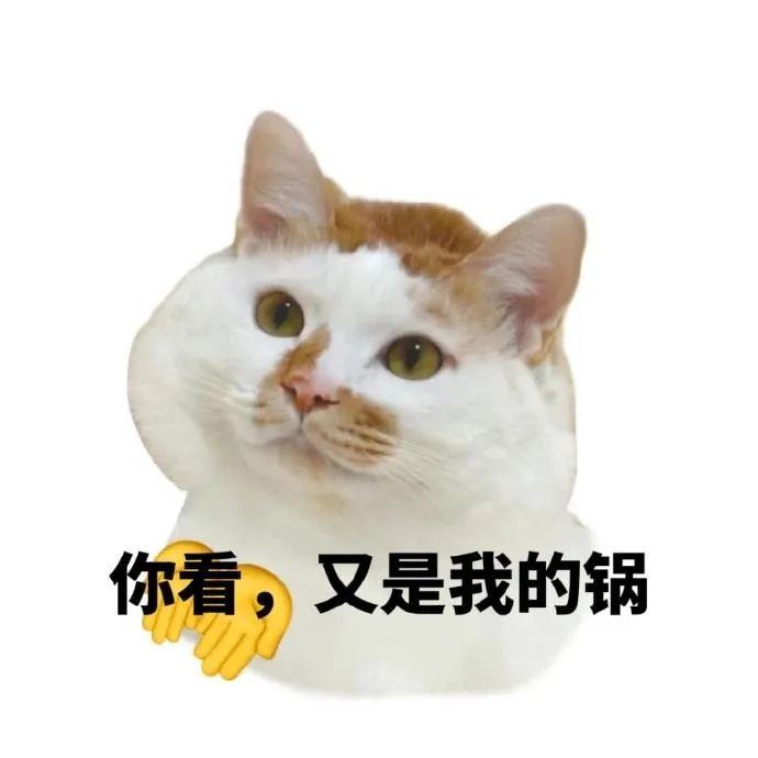 委屈猫咪表情包:你看,又是我的锅 猫咪表情包| 你看,又急 表情包图片gif动图 - 求表情网,斗图从此不求人!