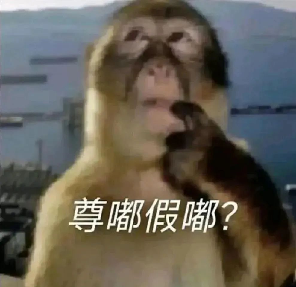 猴子一脸疑惑的表情配上文字“尊嘟假嘟?”,尽显呆萌可爱 表情包|成年人斗图表情包gif图表情包图片gif动图 - 求表情网,斗图从此不求人!