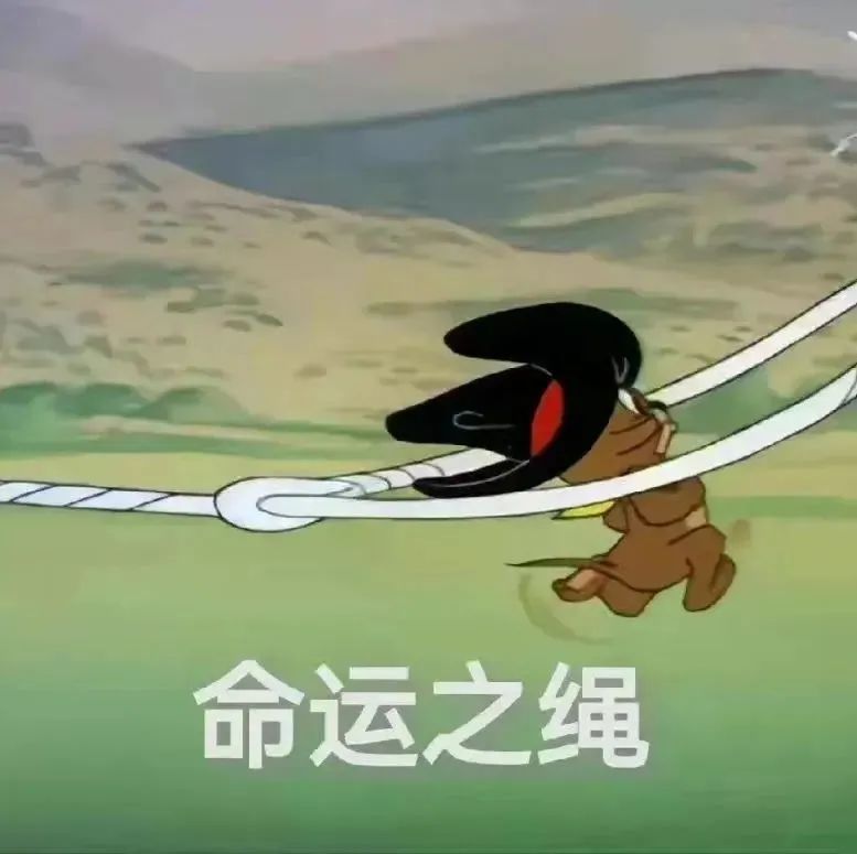 《命运之绳》动画角色被绳束缚,尽显无奈与挣扎的搞笑表情包 超好玩的表情包ᕑᗢᓫ表情包图片gif动图 - 求表情网,斗图从此不求人!