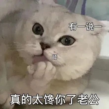 《有一说一 舔 真的太馋你了老公》——可爱猫咪的“馋嘴”表情包 情侣瑟瑟表情包|喂 老公今晚整吗 嘿嘿 表情包图片gif动图 - 求表情网,斗 ...