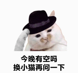 戴帽小猫超萌发问“今晚有空吗 换小猫再问一下” 实用聊天表情包表情包图片gif动图 - 求表情网,斗图从此不求人!