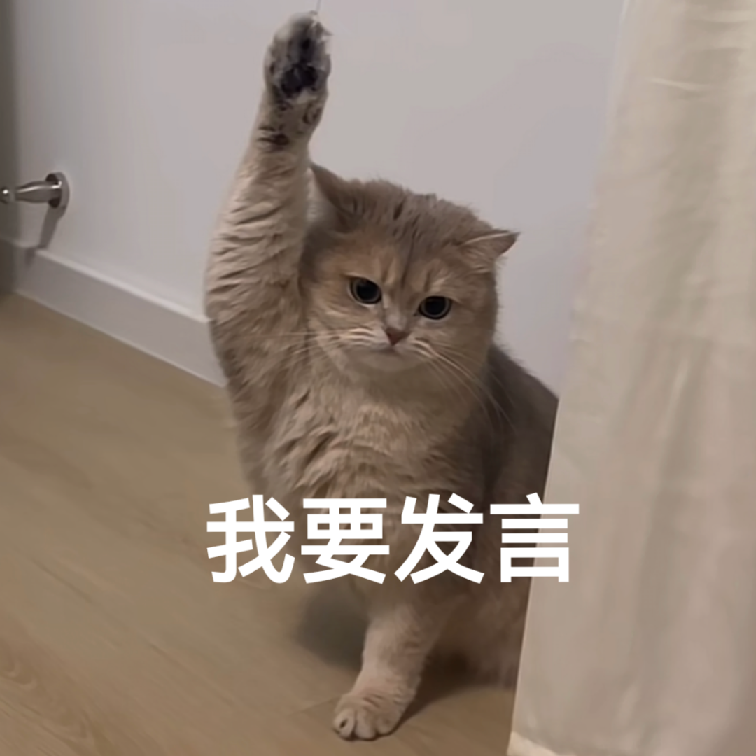可爱猫咪高举爪子,配文“我要发言”,萌态十足超有趣 表情包|迷你表情包gif动图可爱表情包图片gif动图 - 求表情网,斗图从此不求人!