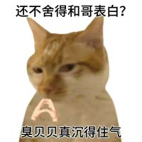 得了吧还舍不得用力恨不得连蛋都塞进去 熊猫头配搞笑文字,“得了吧还舍不得用力”尽显无奈Meme GIF - MemeVerse, Never ...