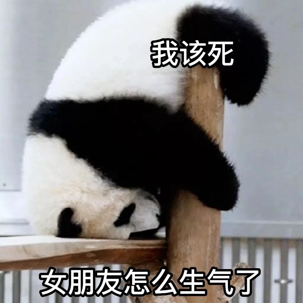 熊猫趴柱上配文“我该死 女朋友怎么生气了”的无奈表情包 抽象犯贱小表情包表情包图片gif动图 - 求表情网,斗图从此不求人!