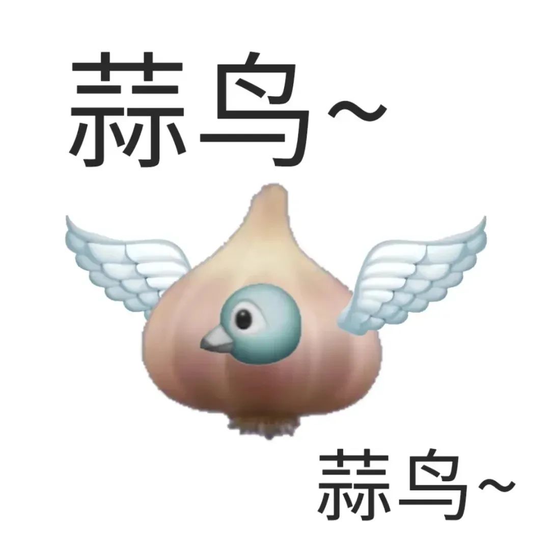 可爱蒜鸟来袭,趣味十足的“蒜鸟”表情包萌翻你 抽象犯贱小表情包表情包图片gif动图 - 求表情网,斗图从此不求人!