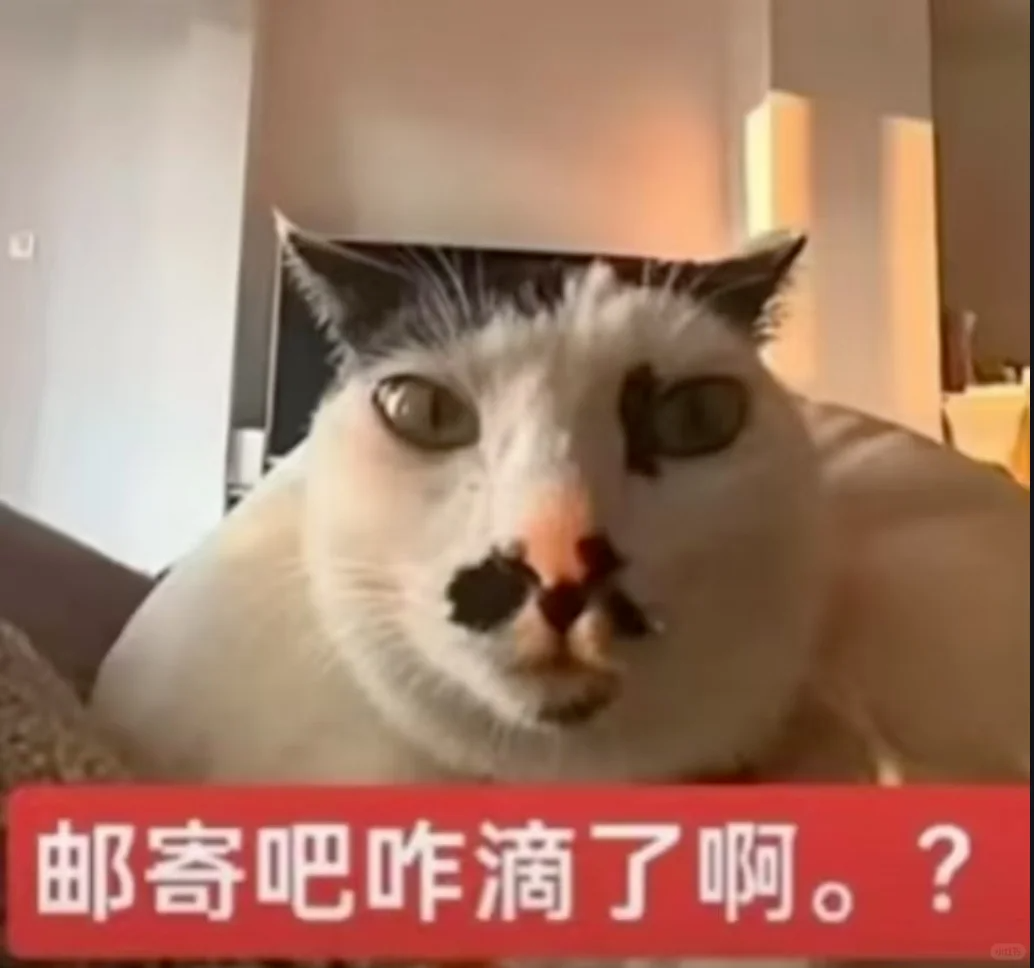 呆萌猫咪一脸疑惑,配文“邮寄吧咋滴了啊?”可爱爆表 搞怪聊天表情包表情包图片gif动图 - 求表情网,斗图从此不求人!