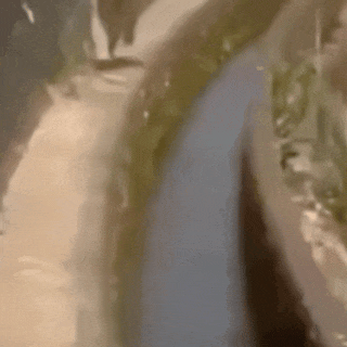 模糊的道路与河流画面,似是随意拍摄的动态模糊景象 表情包|别说了表情包图片gif动图 - 求表情网,斗图从此不求人!