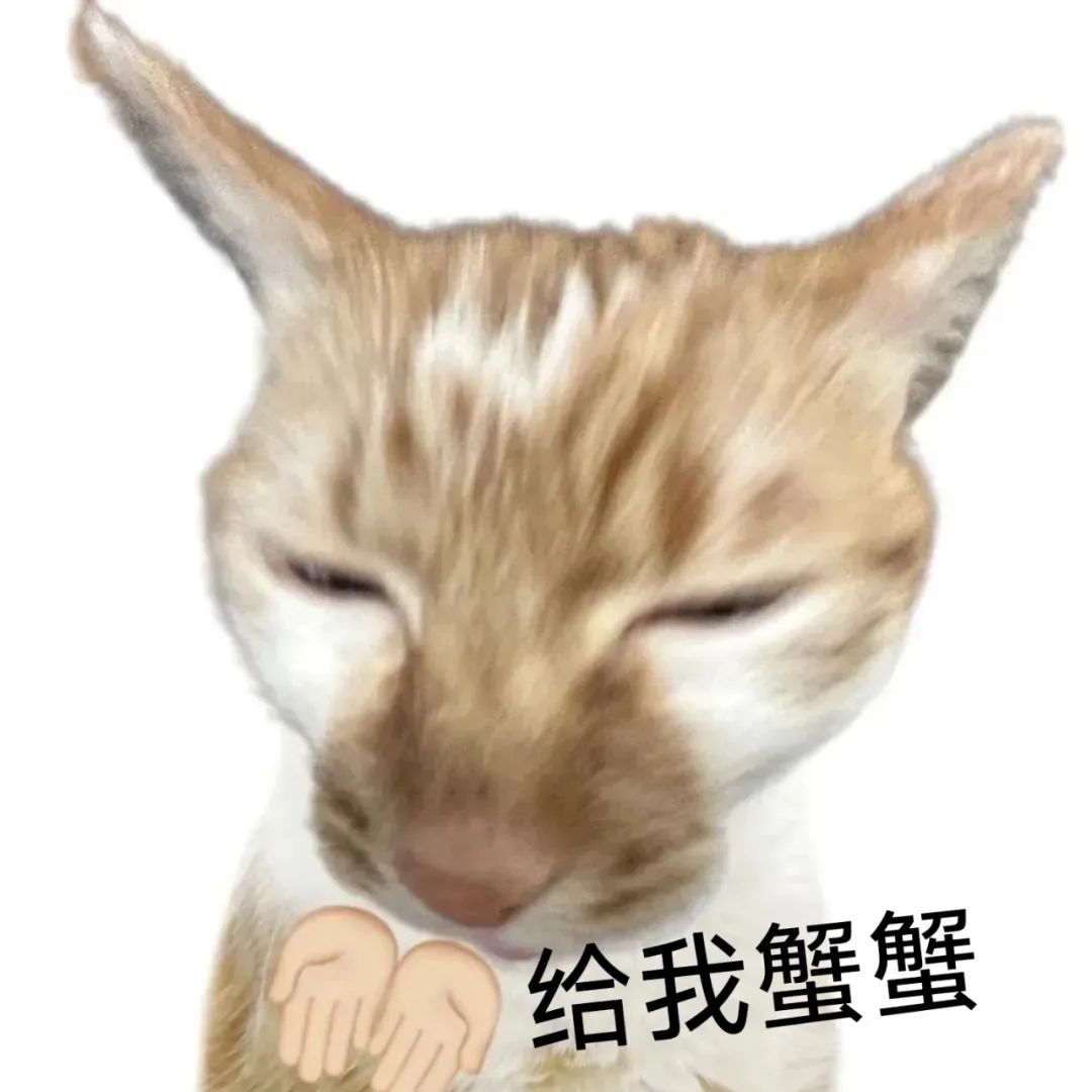 可爱猫咪眯眼撒娇,配文“给我蟹蟹”的超萌表情包 猫meme表情包合集表情包图片gif动图 - 求表情网,斗图从此不求人!