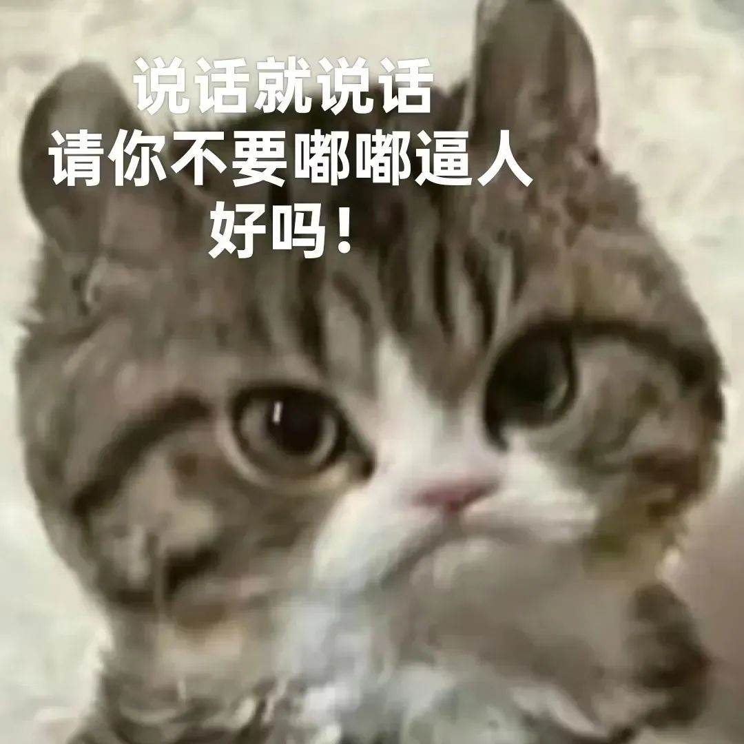 猫咪严肃脸表情包：说话就说话，请你不要嘟嘟逼人，好吗 猫meme表情包合集表情包图片gif动图 - 求表情网,斗图从此不求人!