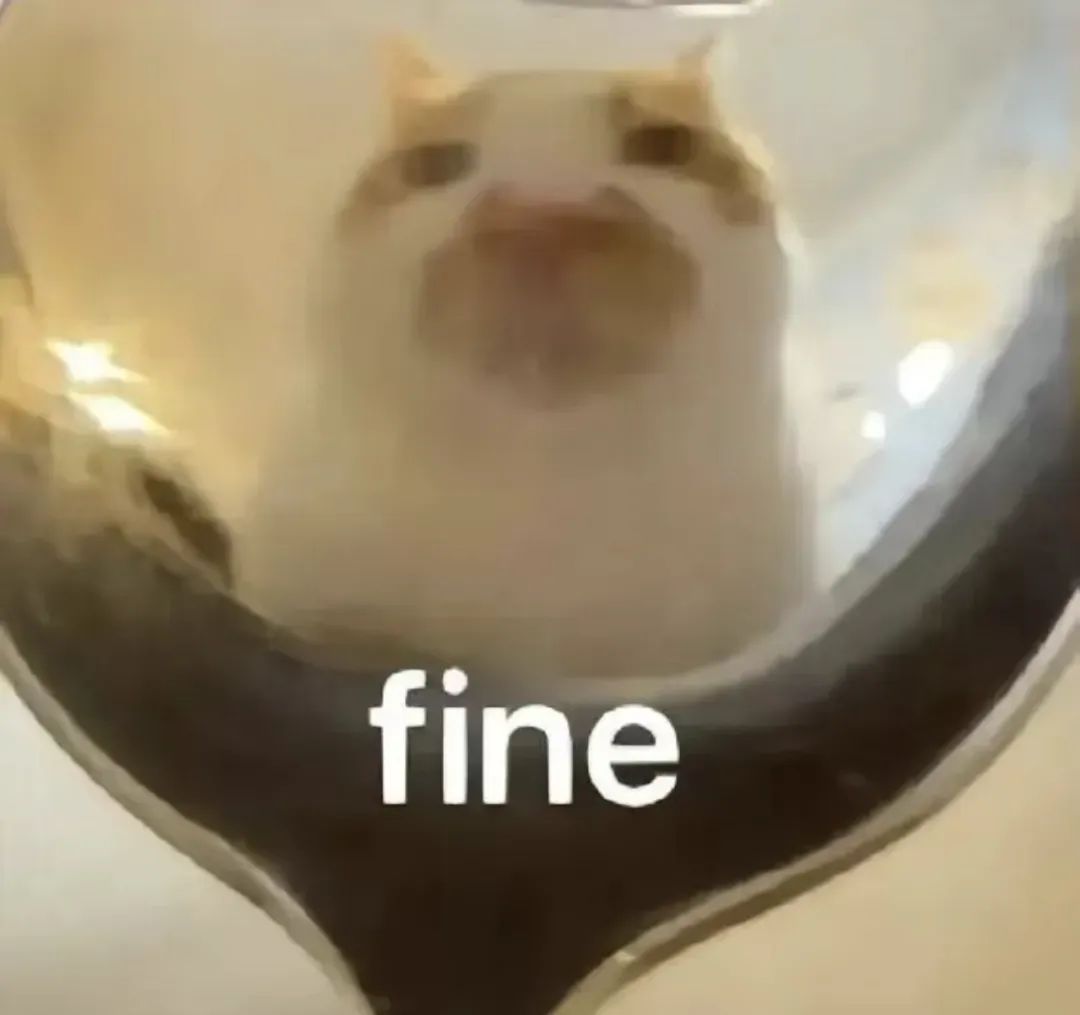猫咪在玻璃杯中露出脸,配文“fine”,一脸无奈的可爱模样 猫meme表情包合集表情包图片gif动图 - 求表情网,斗图从此不求人!
