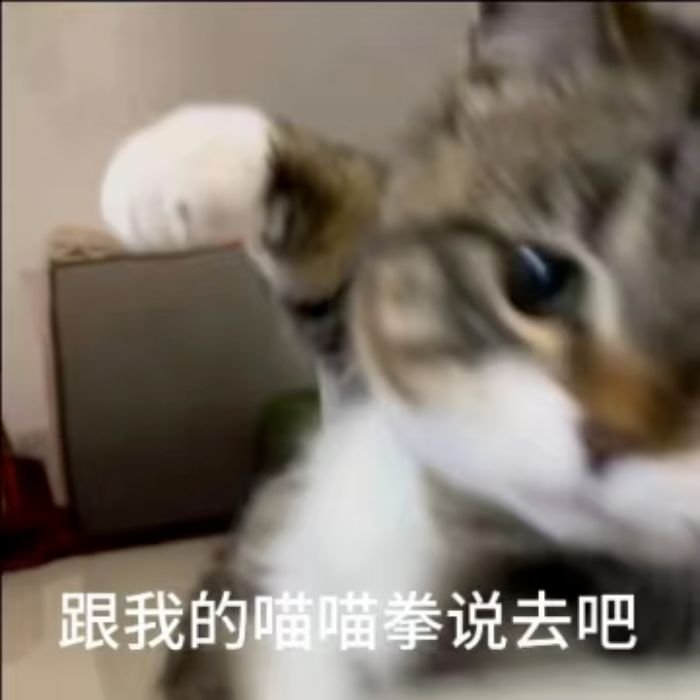 可爱猫咪挥出喵喵拳,霸气宣言“跟我的喵喵拳说去吧” 沙雕的表情包表情包图片gif动图 - 求表情网,斗图从此不求人!